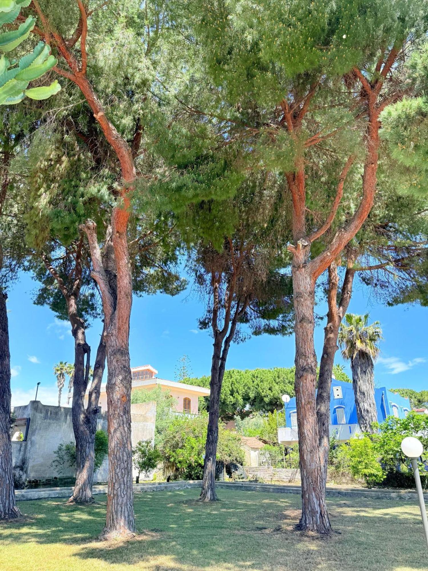 Nido Colorato B&B Fontane Bianche Extérieur photo